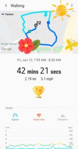 Map of Walk From Samsung Health